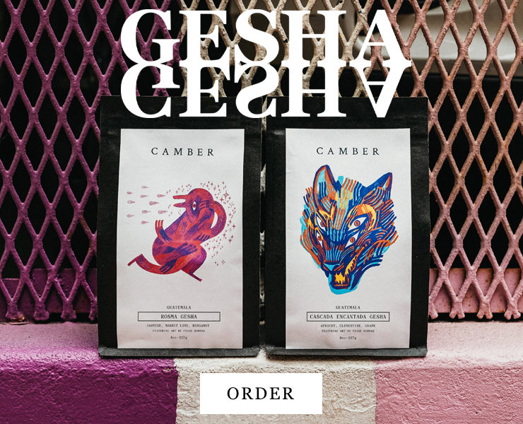 banner advertising camber coffee roasters Struttura, a structured & sweet new blend