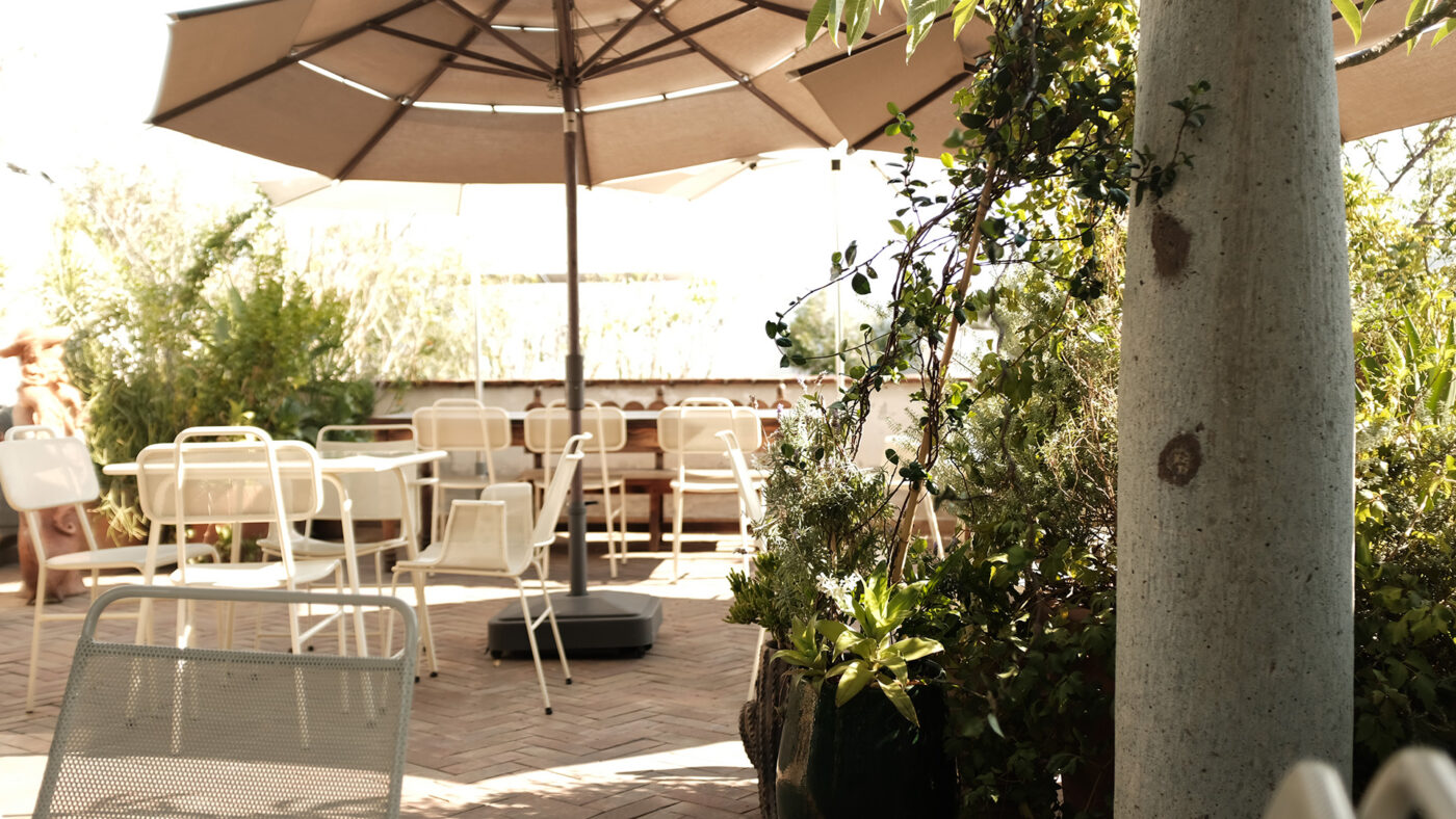 oaxaca guide muss cafe rooftop