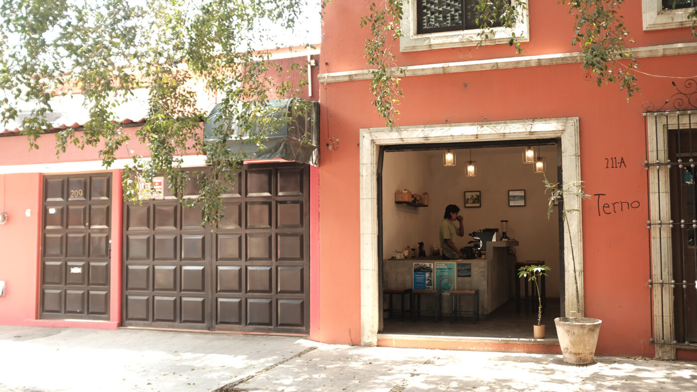 oaxaca guide terno 4